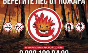 Причина 90% лесных пожаров — результат действий человека
