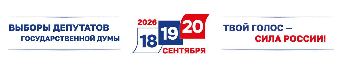 Выборы